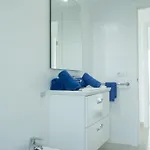 فيلة Blancazul Verode *
